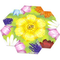 Acheter le jeu de société Petals Biotope Edition