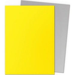 Acheter des protège-cartes Dragon Shield Dual Matte Silver