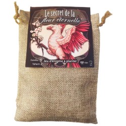 Acheter le jeu de société Le Secret de la Fleur éternelle Gigamic