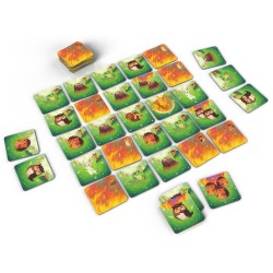 Acheter Forest Spirit jeu familial stratégie (Replay Games)