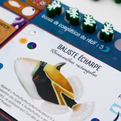 Acheter l'extension Finspan Requins et Récifs jeu stratégie (Matagot)