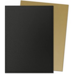 Acheter des protège-cartes Dragon Shield Dual Matte Gold