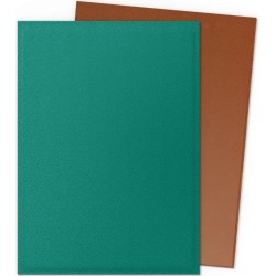 Acheter des protège-cartes Dragon Shield Dual Matte Power/copper