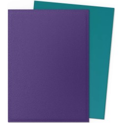 Acheter des protège-cartes Dragon Shield Dual Matte Power/copper