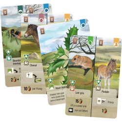 Acheter Forêt Mixte Dartmoor Exmoor (Lookout Games) Extension