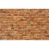 Puzzle 1000 pièces- Les Bouchons