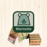 Acheter le jeu de construction Kiditop Pack Marmotte 12 pièces