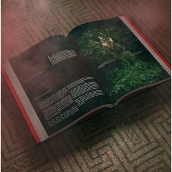 Acheter le jeu de rôles MIR Serment coffret découverte