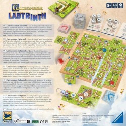 Acheter le jeu de société Carcassonne Labyrinth (Hans im Glück)