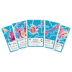 Melodies – Jeu de cartes coopératif – Next Move Games