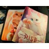 Acheter Rise TCG Adorable – Zip-Binder Chats