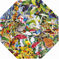 Puzzle 500 pièces eeboo - Mushrooms and Butterflies