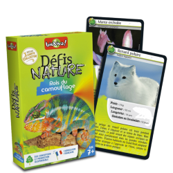 Défis Nature - Rois du camouflage