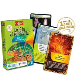 Défis Nature - Rois du camouflage