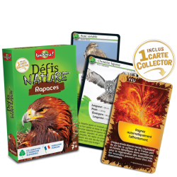 Défis Nature - Rapaces