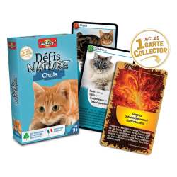 Défis Nature - Chats