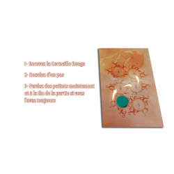 Dreamscape - Extension La Corneille Rouge